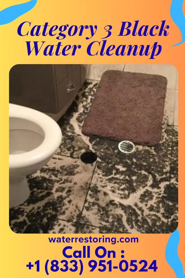 Category 3 Black Water Cleanup in Millersburg, OH