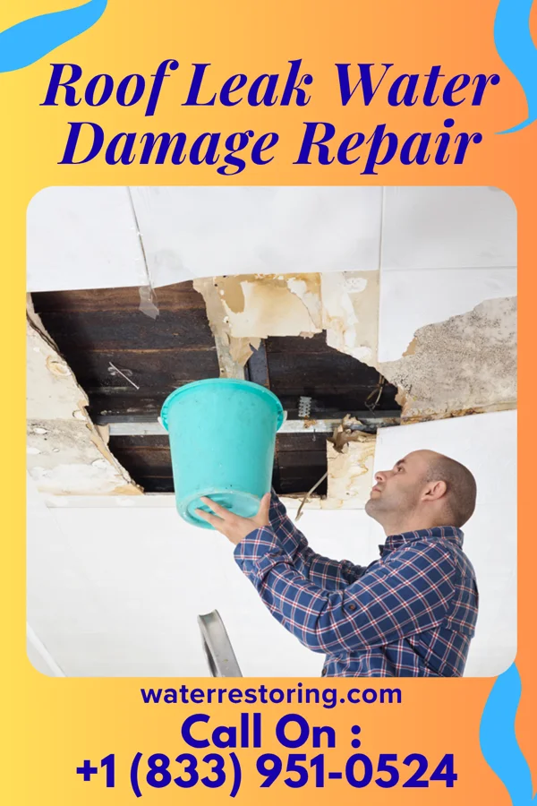 Roof Leak Water Damage Repair in Millersburg, OH