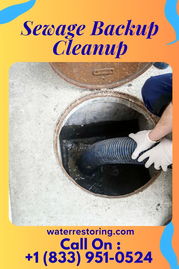 Sewage Backup Cleanup in Millersburg, OH